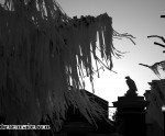 IMG_6534_edited-1