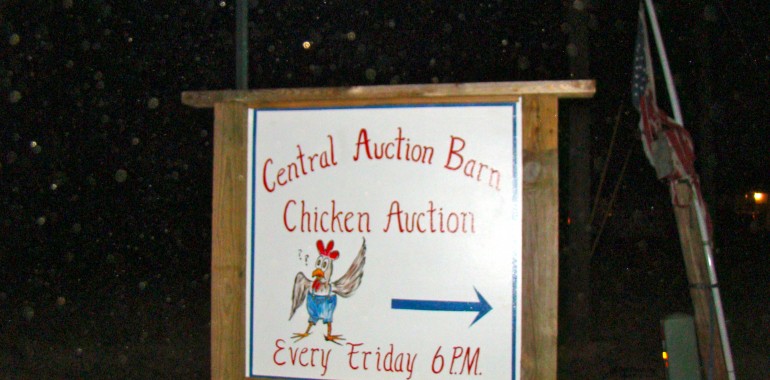 Bet you ain’t been to an auction like this before!