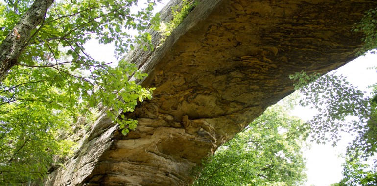 Natural Bridge Resort State Park, Kentucky